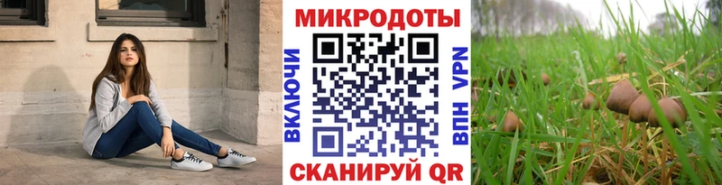 blacksprut рабочий сайт Кингисепп Псилоцибиновые грибы GOLDEN TEACHER наркошоп