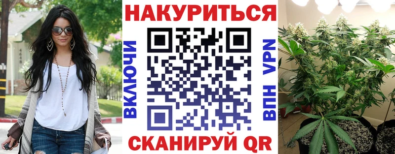 дарнет шоп  Кингисепп  Бошки марихуана THC 21% 